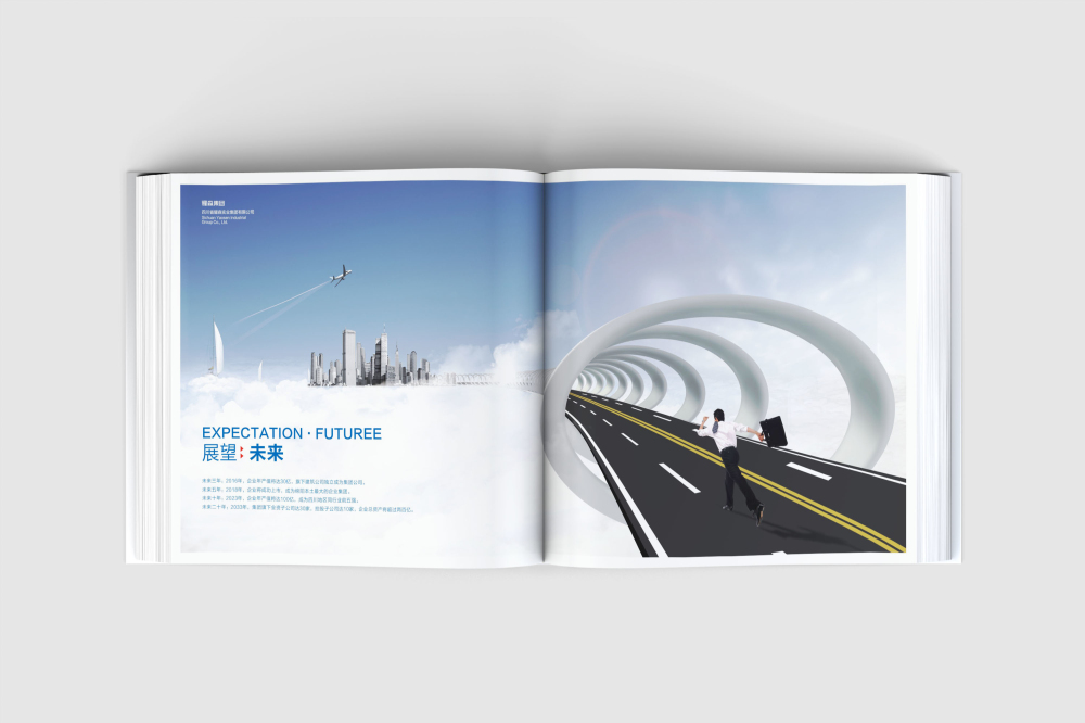 宣化县画册设计